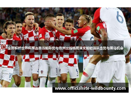全面解析世界杯预选赛当前形势与各洲出线格局演变前瞻强队走势与黑马机会