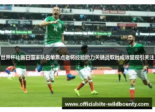 世界杯比赛日国家队名单焦点老将经验助力关键战取胜成效显现引关注