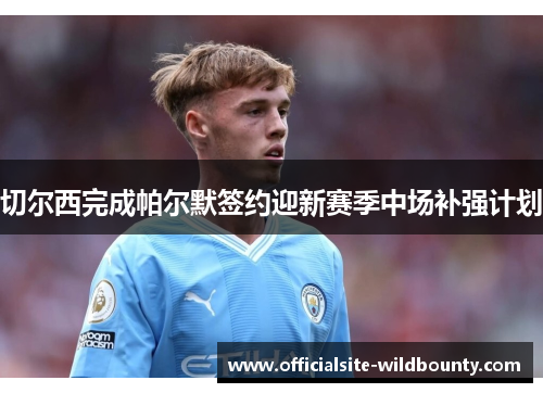 切尔西完成帕尔默签约迎新赛季中场补强计划