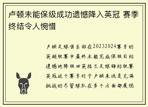 卢顿未能保级成功遗憾降入英冠 赛季终结令人惋惜