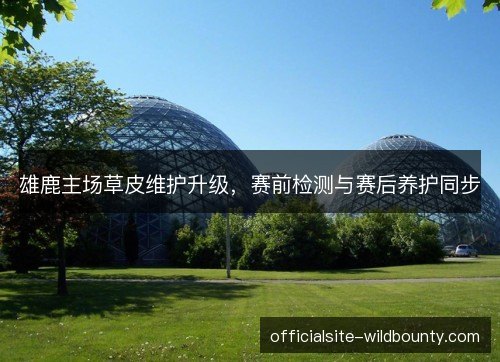 雄鹿主场草皮维护升级，赛前检测与赛后养护同步